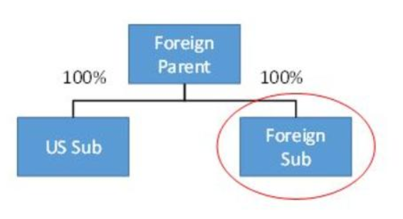 Organizational chart showing Foreign Parent owning 100% of US Sub and 100% of Foreign Sub.