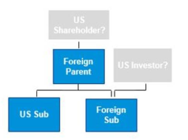 Organizational chart showing Foreign Parent with US Sub and Foreign Sub below. US Shareholder? and US Investor? boxes are