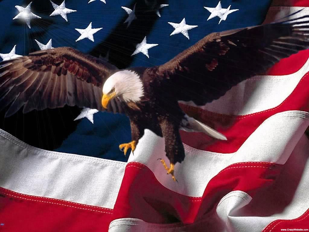 Bald eagle flying over the American flag.