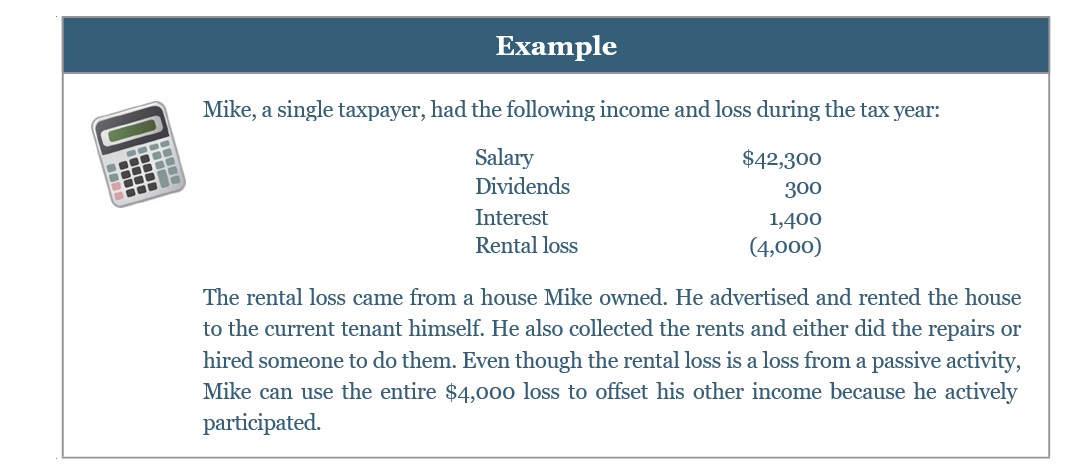 Example of income and loss for a single taxpayer named Mike, including salary, dividends, interest, and rental loss.