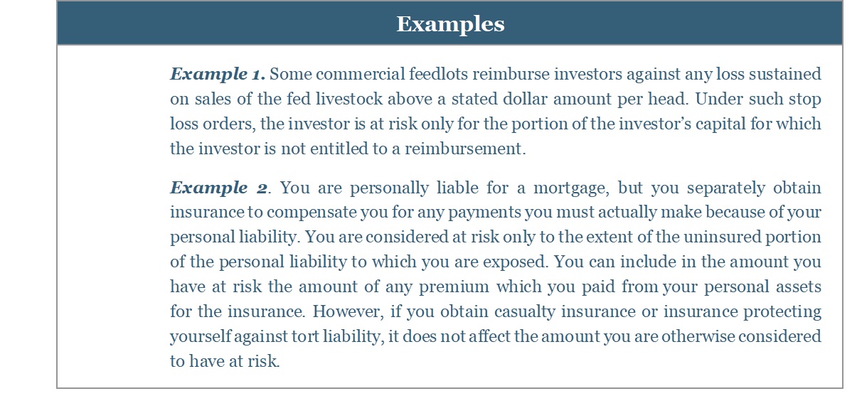 Examples section with two numbered examples about investment risk and insurance.