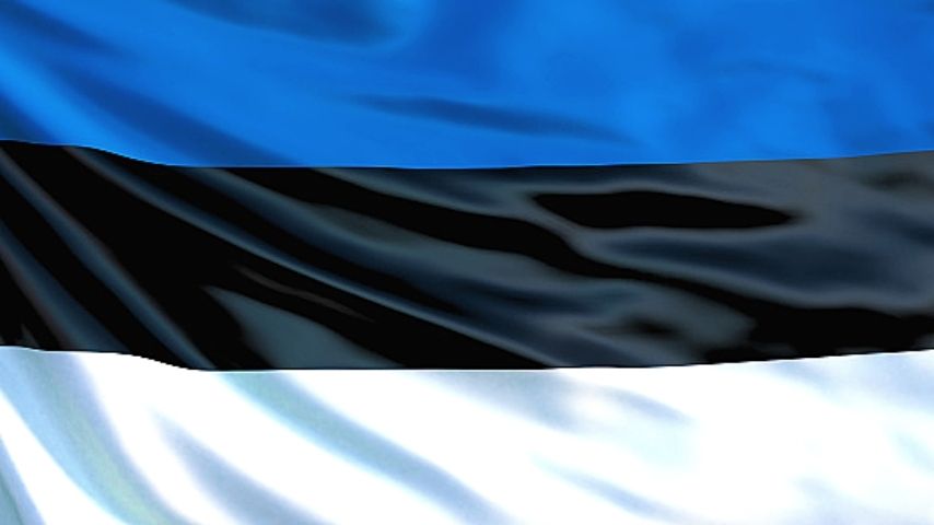 The flag of Estonia, a tricolor of blue, black, and white horizontal stripes.