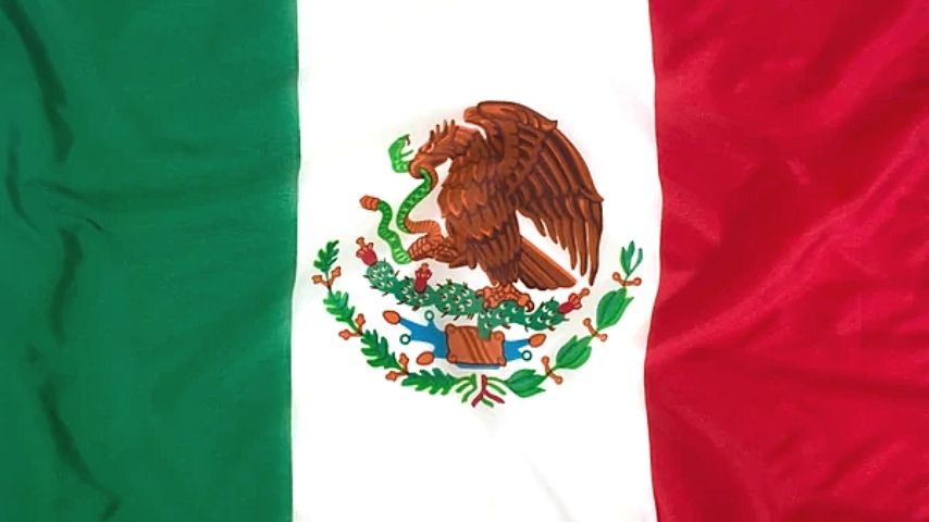 Mexican flag with eagle crest on white stripe