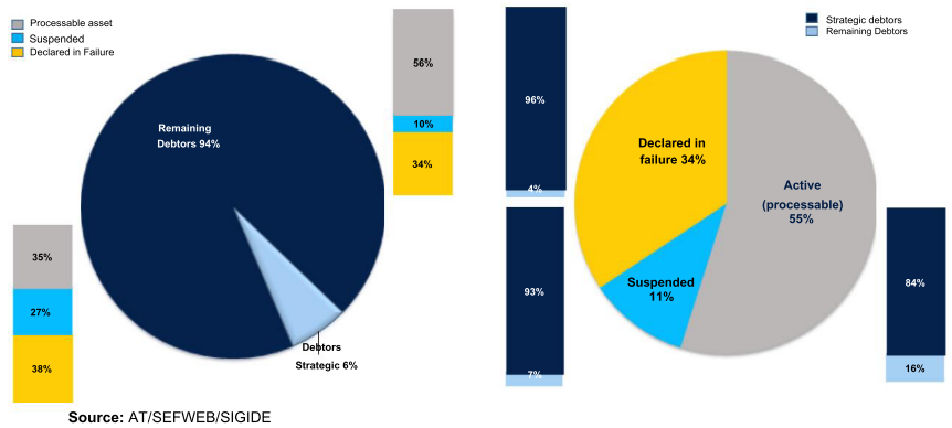Pie charts and bar graphs showing debt portfolio decomposition by debtor type and status.